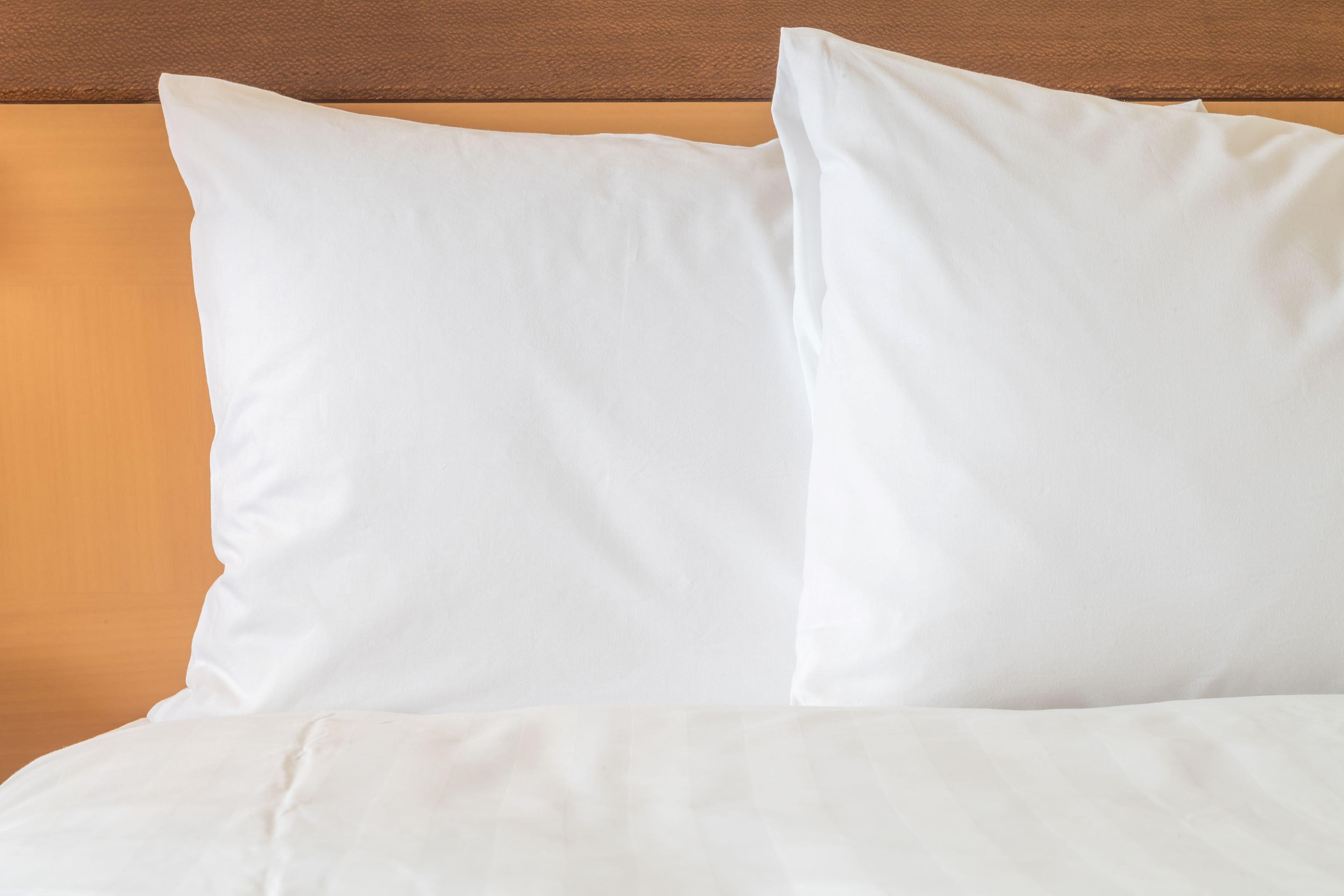 Holiday Inn Express & Suites Terrace By Ihg Eksteriør bilde